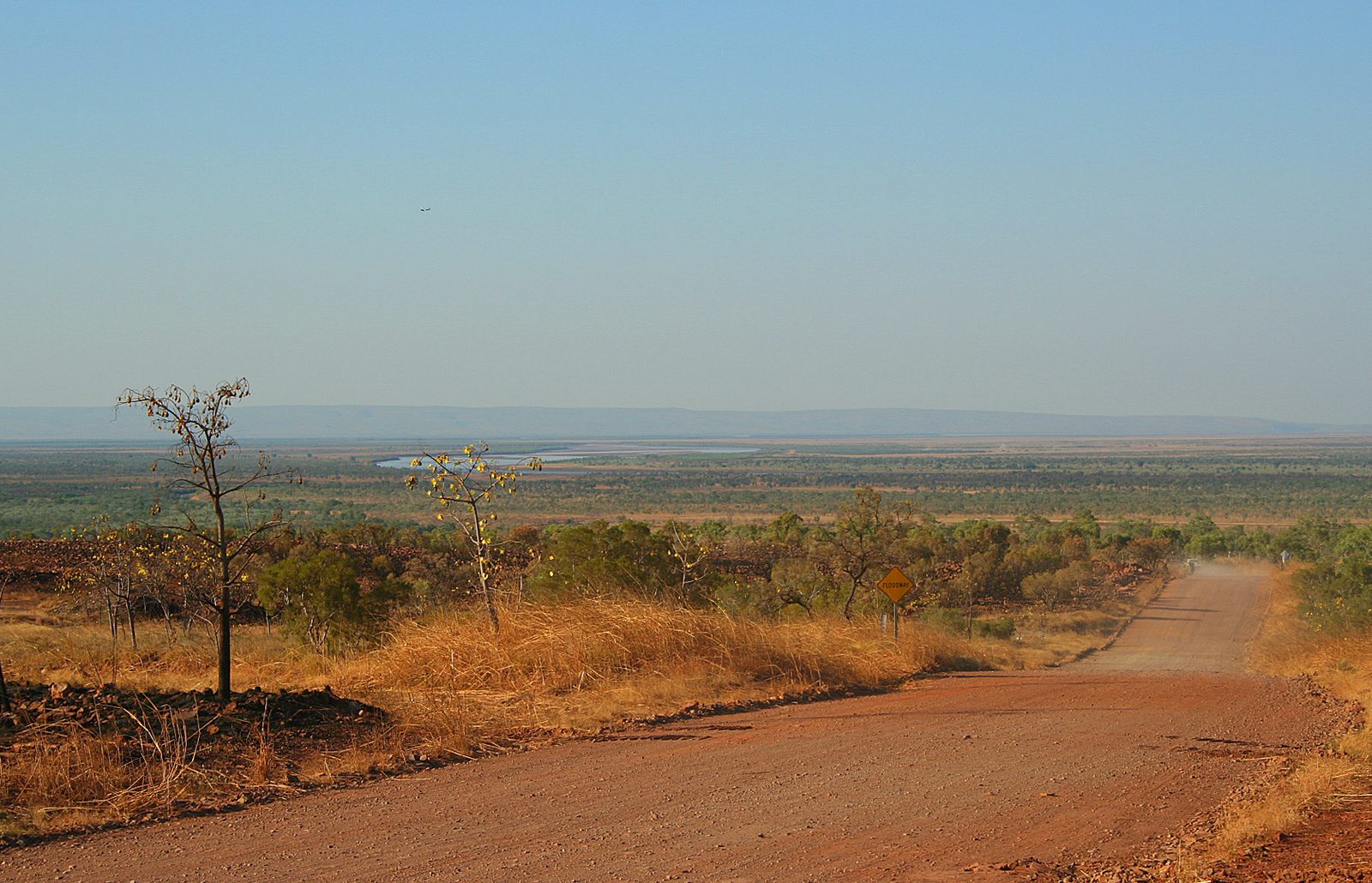 Red dirt road running through dry savanna towards a distant horizon