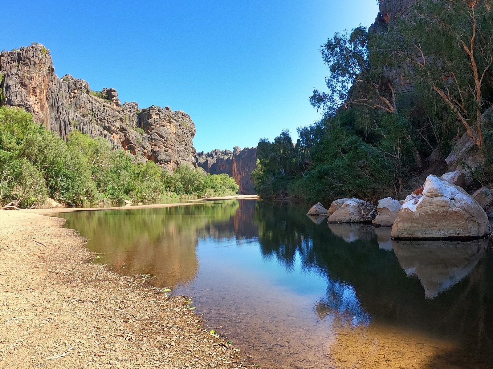 Still pool beneath the limestone walls of Windjana Gorge